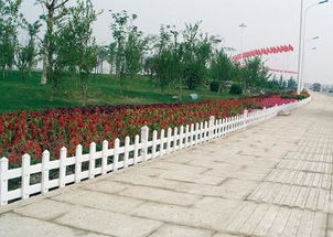 PVC塑钢花草护栏 pvc花坛绿化栅栏 pvc公路草坪围栏